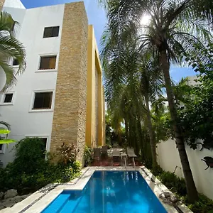 Golondrinas Playa del Carmen